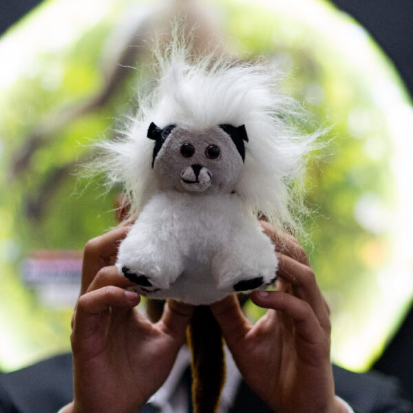 .Peluche Tití Cabeciblanco